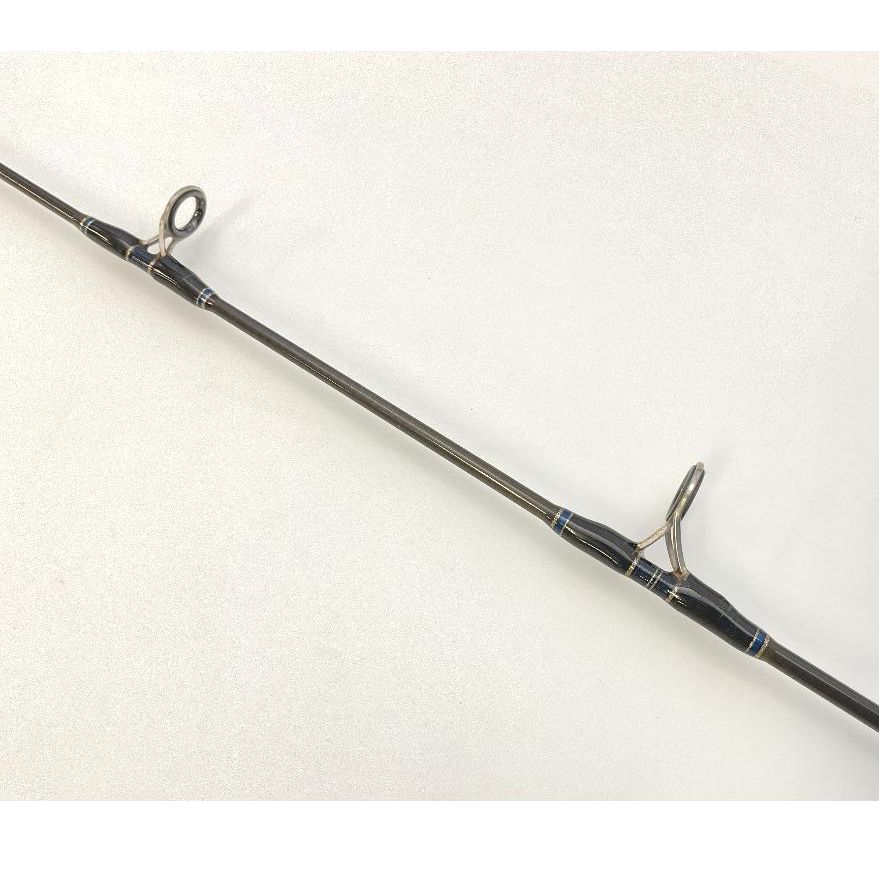 Daiwa SALTIGA COASTAL SG-58S-2/3S Spinning Rod for Jigging Pre