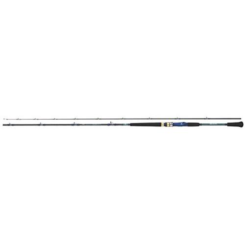 DAIWA - アナリスター64 30-300 4550133253669.jpg