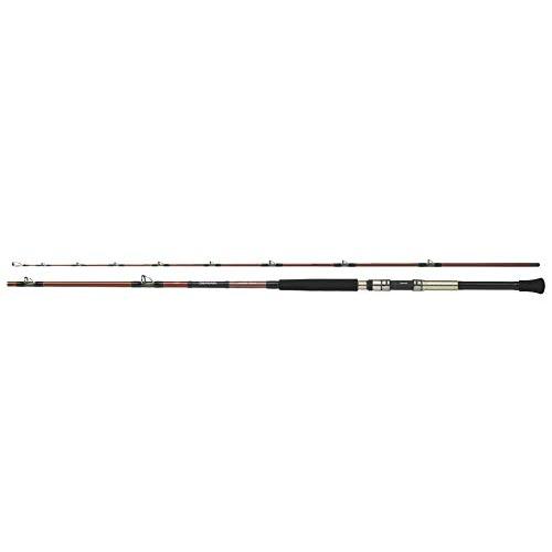 Amazon | ダイワ(DAIWA) 船竿 ディープゾーンX 120-210 釣り竿