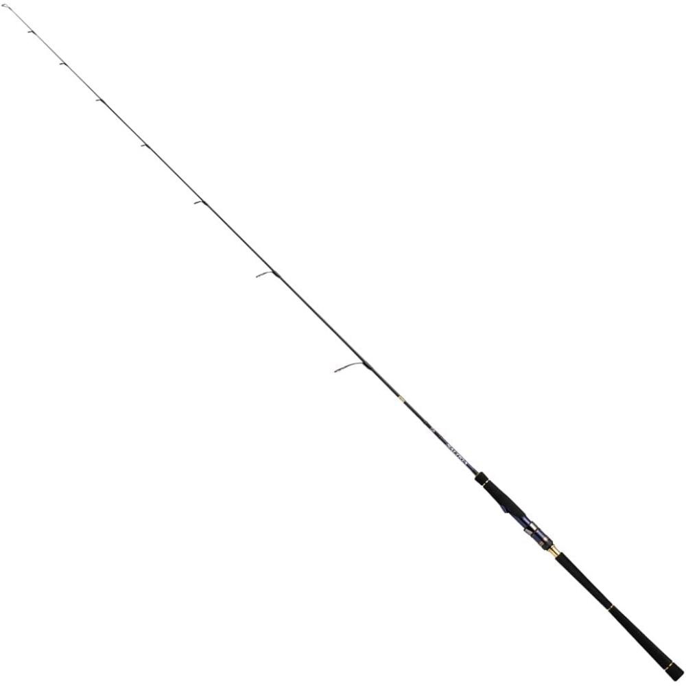 Daiwa SALTIGA LJ 62XXHS TG Spinning Rod | eBay
