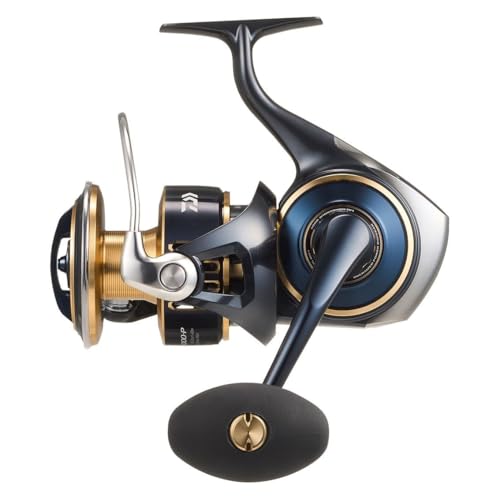 DAIWA - 釣り竿　電動リール　DAIWA ダイワ(DAIWA) 14ソルティガ エクスペディション 8000H ○完売