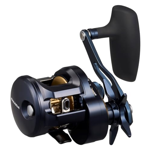 ダイワ　25 SALTIGA 300HL Daiwa 25 SALTIGA 300HL Baitcasting Reel | eBay
