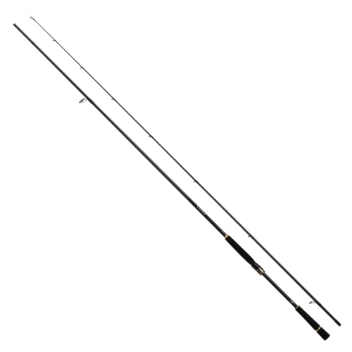 DAIWA（釣り） ダイワ 25 ラテオ 106M-4・K (シーバスロッド