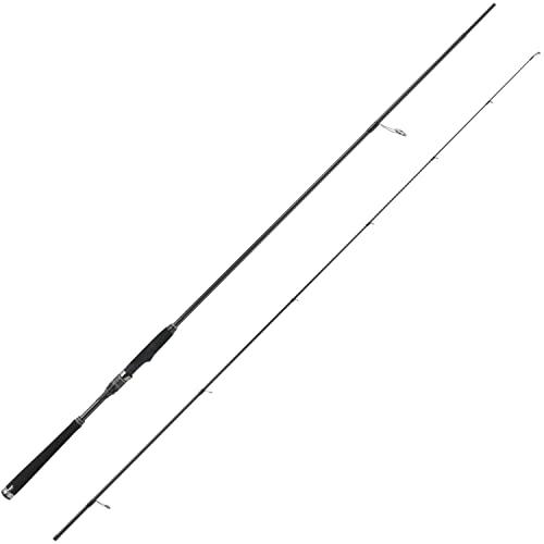 アブガルシア Abu Garcia SALTY STAGE ROCK FISH Abu Garcia Salty Stage KR-X Bait Casting 6'4