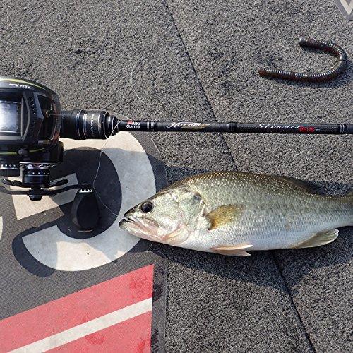 Abu Garcia Hornet Stinger PLUS HSPC-712MH MGS Baitcasting