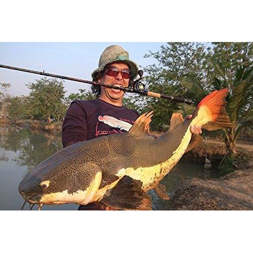 Abu Garcia World Monster WMSC-734H Baitcasting Rod for Bass