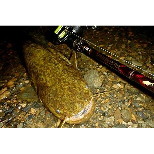 Abu Garcia World Monster WMSC-734H Baitcasting Rod for Bass
