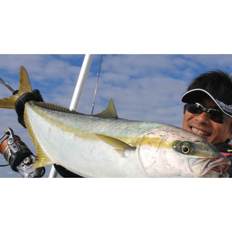 Alpha tackle CRAZEE JIGGING SHAFT S63MH Spinning rod 2pcs
