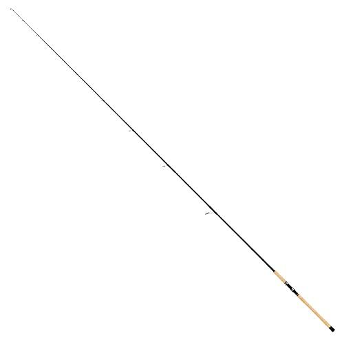 KEI HIRAMATSU Buaya Darat J61M ジギングロッド Tailwalk KEISON GINSEI TZ 116H Spinning Rod for Trout